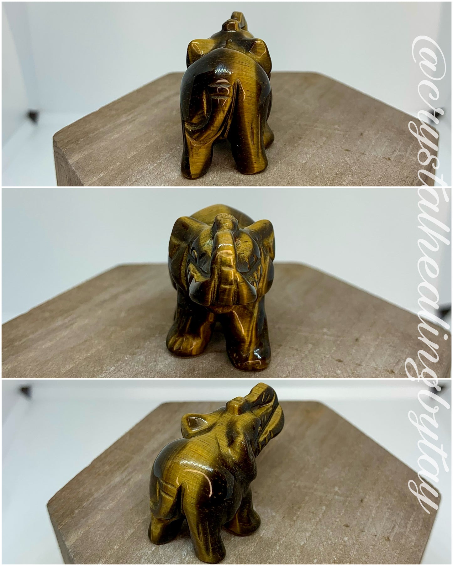 Crystal Elephant 1.5” Carving Figurine Polished Stone Animals in Bloodstone, Obsidian, Rhodonite, Caribbean Calcite, Larvikite, Tigers Eye