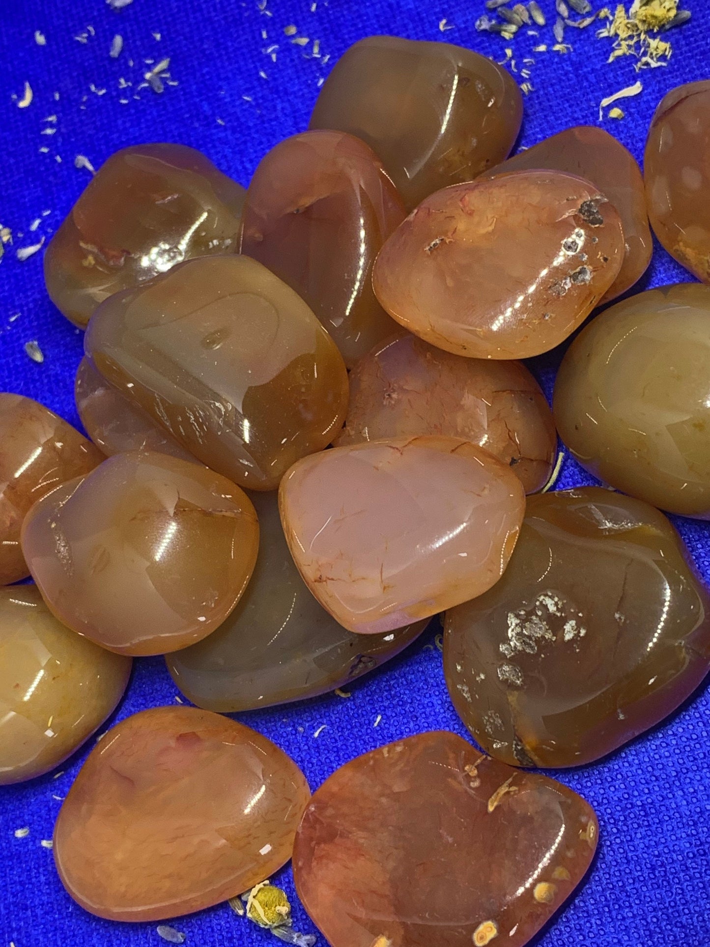 LG Carnelian Natural River Crystal Natural Polished Mineral Tumbled Stone