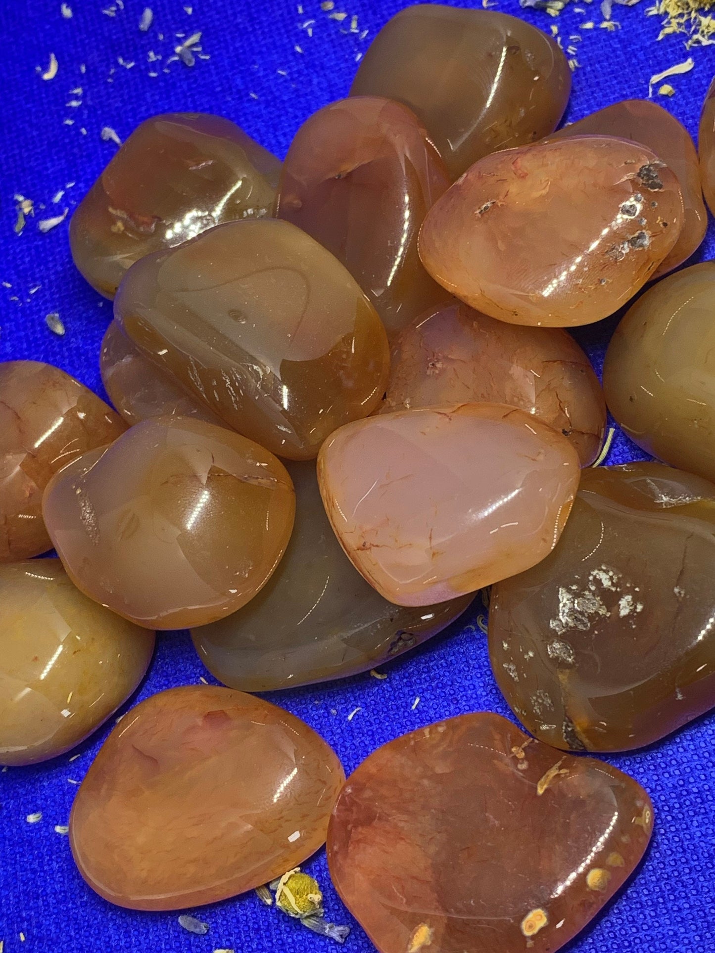 LG Carnelian Natural River Crystal Natural Polished Mineral Tumbled Stone