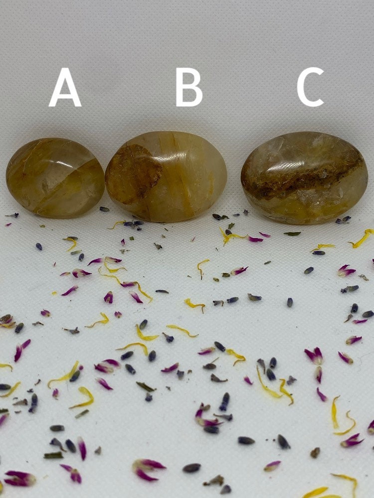 GoldenHealer Quartz Crystal Polished Carved Golden Hematoid Palm Stones ( YOU CHOOSE )