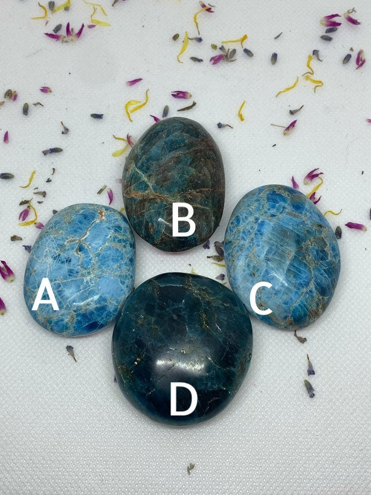 Blue Apatite Crystal Polished Carved Palm Stones ( YOU CHOOSE )