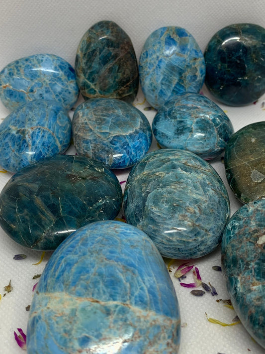 Blue Apatite Crystal Polished Carved Palm Stones ( YOU CHOOSE )