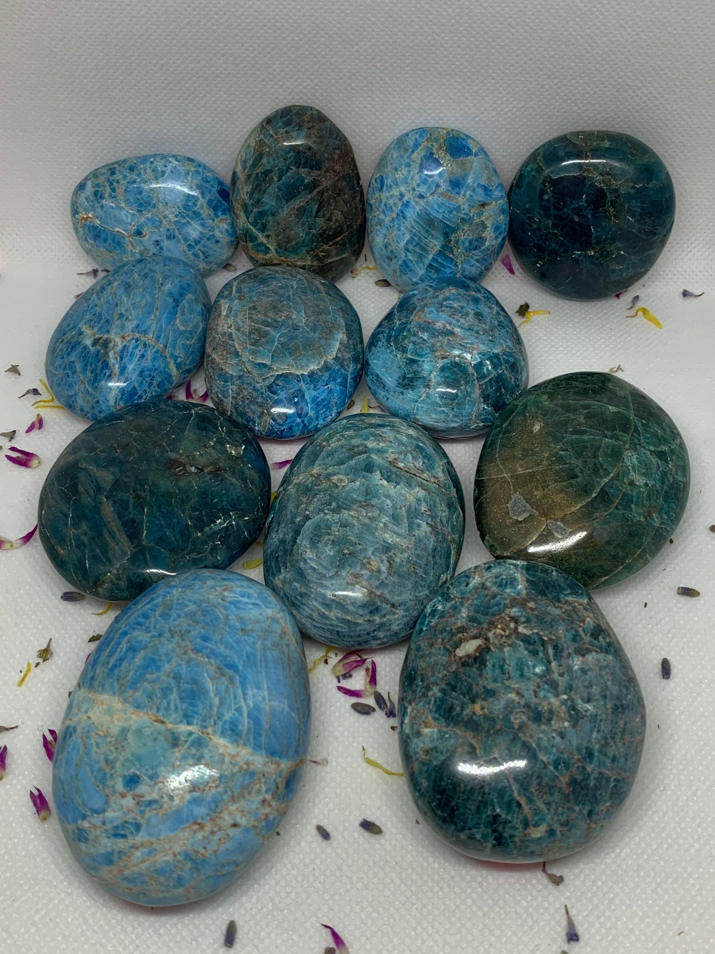 Blue Apatite Crystal Polished Carved Palm Stones ( YOU CHOOSE )