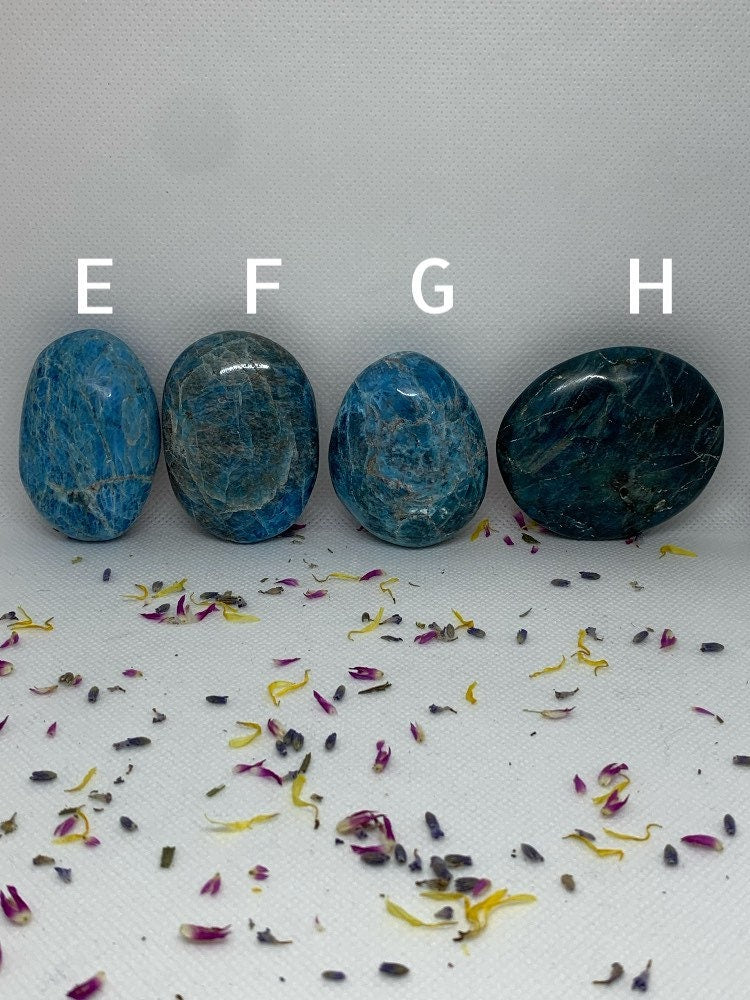 Blue Apatite Crystal Polished Carved Palm Stones ( YOU CHOOSE )