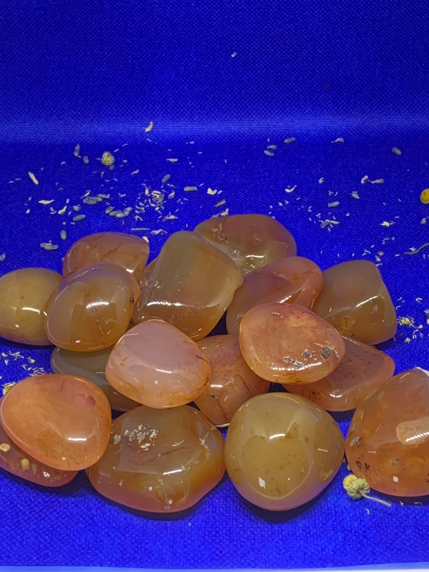 LG Carnelian Natural River Crystal Natural Polished Mineral Tumbled Stone