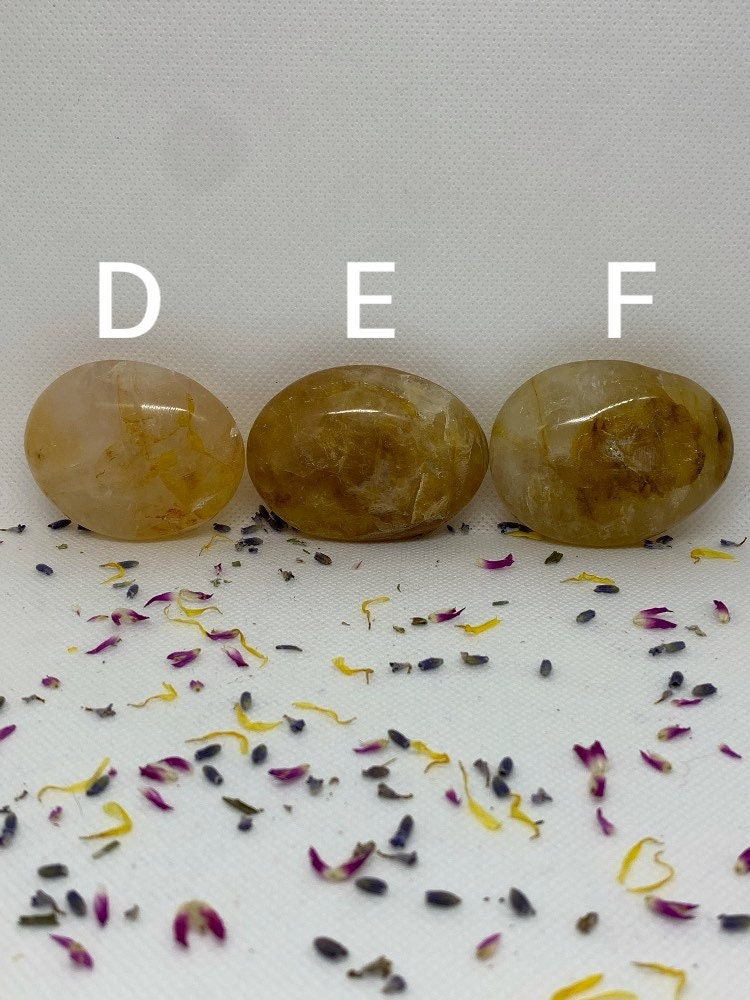 GoldenHealer Quartz Crystal Polished Carved Golden Hematoid Palm Stones ( YOU CHOOSE )