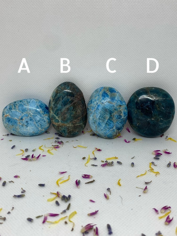 Blue Apatite Crystal Polished Carved Palm Stones ( YOU CHOOSE )