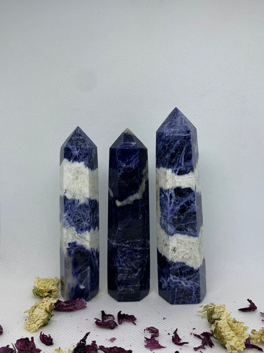 RICH Sodalite Polished Crystal Carved Towers ( YOU CHOOSE )