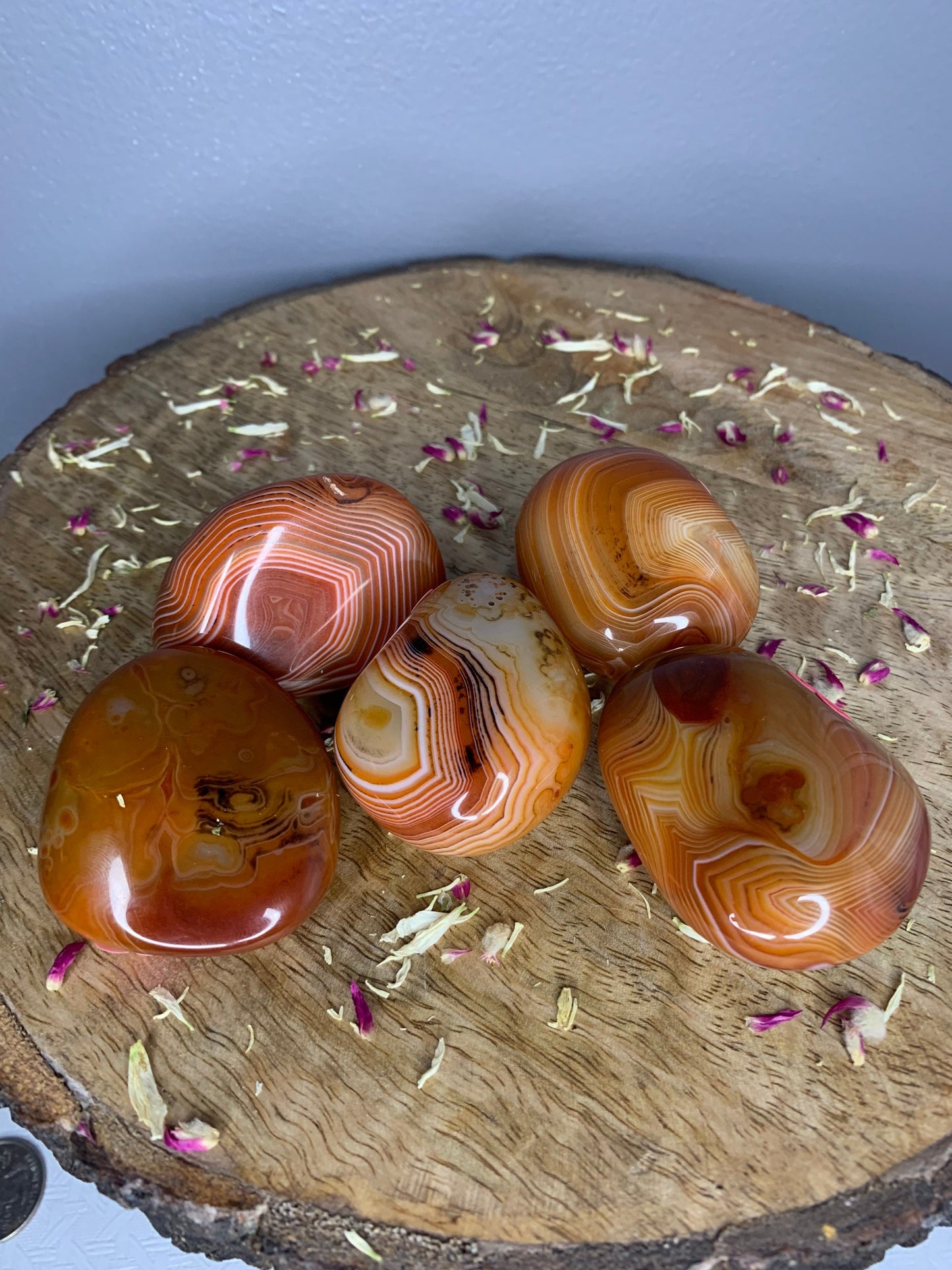 Orange Sardonyx Agate Polished Carved Mineral Crystal Palm Stones ( YOU CHOOSE )