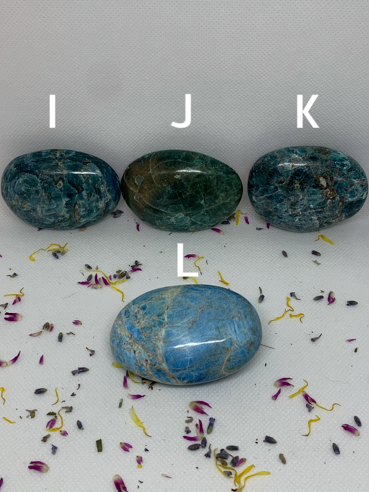 Blue Apatite Crystal Polished Carved Palm Stones ( YOU CHOOSE )