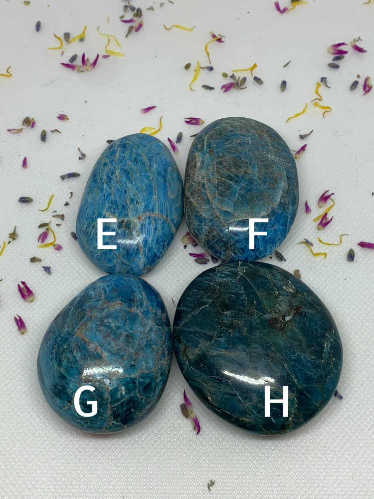 Blue Apatite Crystal Polished Carved Palm Stones ( YOU CHOOSE )